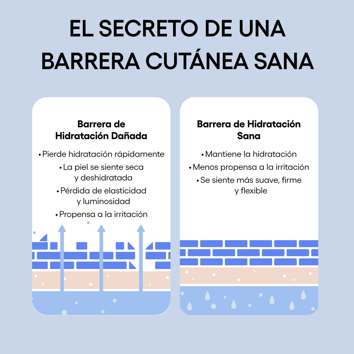 Laneige | Water Bank Skin care (Crema Hidratante con Ácido Hialurónico)