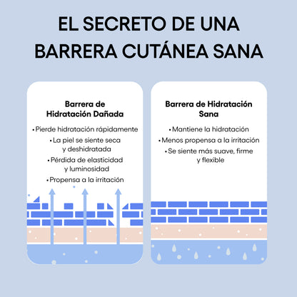 Laneige | Water Bank Skin care (Crema Hidratante con Ácido Hialurónico)